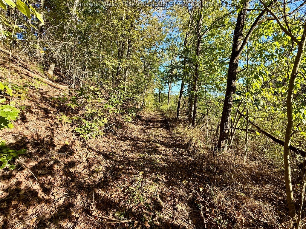 0 Harmons Creek Road Poca, WV 25159 - Photo 1 of 16 Gallery Image 1