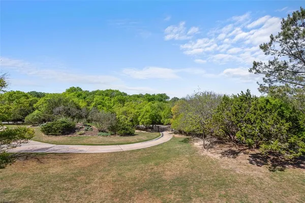 a view of a dry yard with large trees