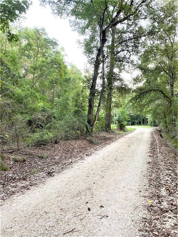 0 Ragusa Road Independence, LA 70443 - Photo 3 of 4 Gallery Image 3