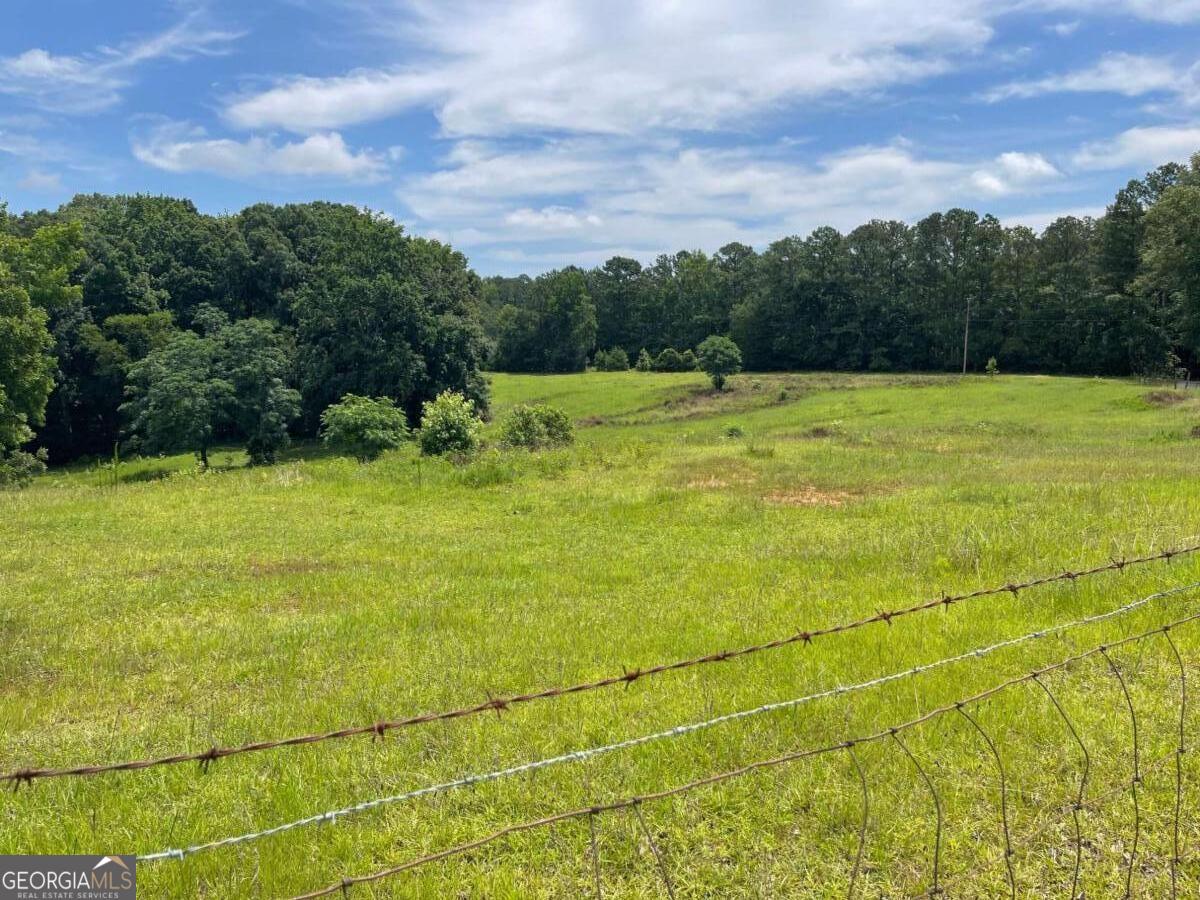 495 Bragg Road Monticello, GA 31064 - Photo 52 of 59