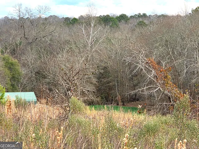 a view of backyard with green space