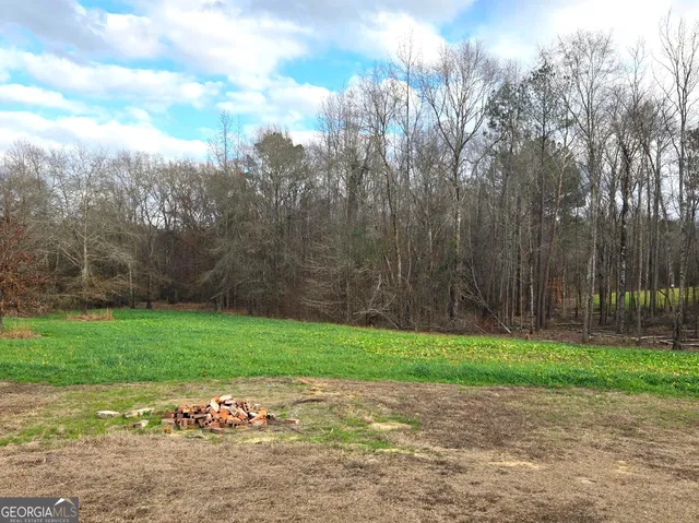 a backyard of a house with lots of green space