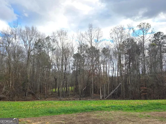 a view of a backyard with a garden