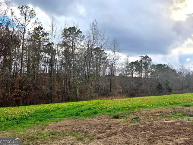 a view of a yard with lots of trees