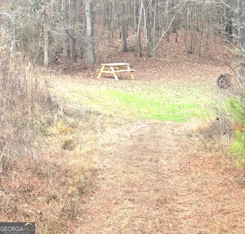a backyard of a house with lots of green space