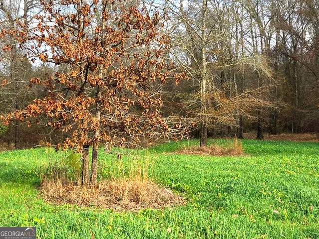 a view of backyard with green space