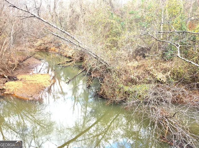 a view of backyard with trampoline