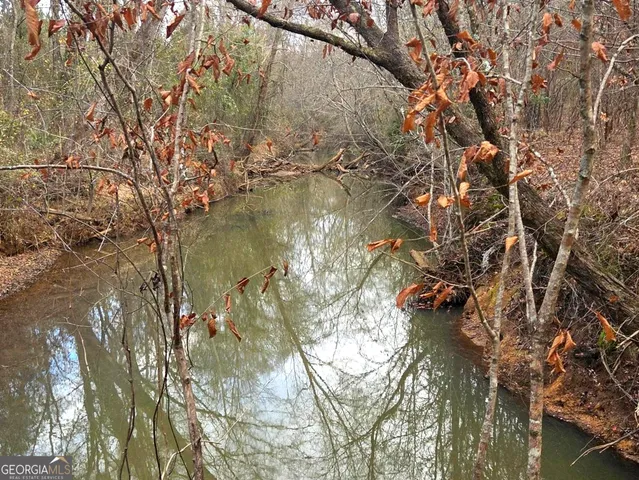 a view of backyard with green space