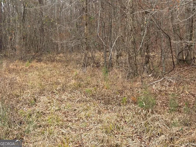 a view of yard with green space