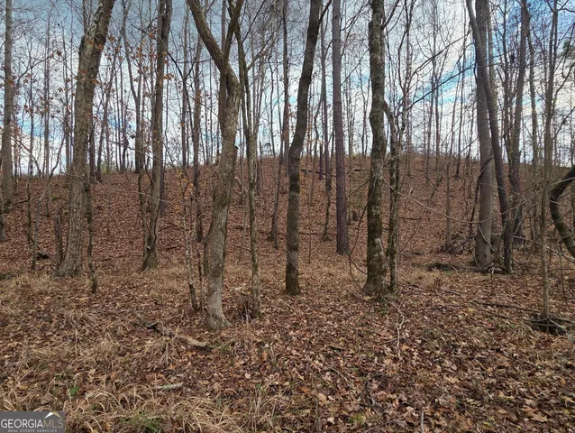 a picture of a tree with a wooden fence