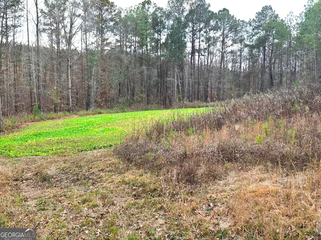 a view of a yard of a house