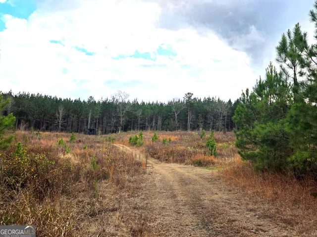 a swimming pool with some trees in the background