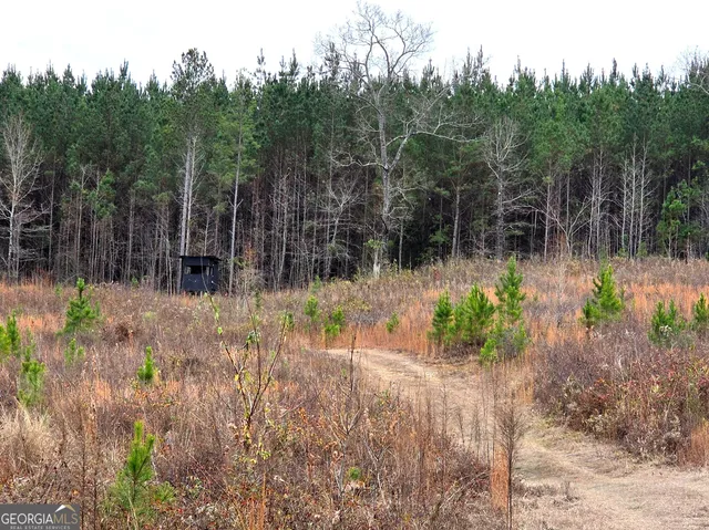 a view of outdoor space with garden