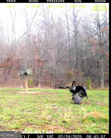 a view of swimming pool