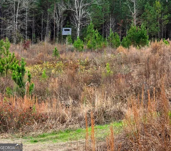 a view of table and chairs