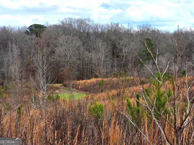 a close up of a sink