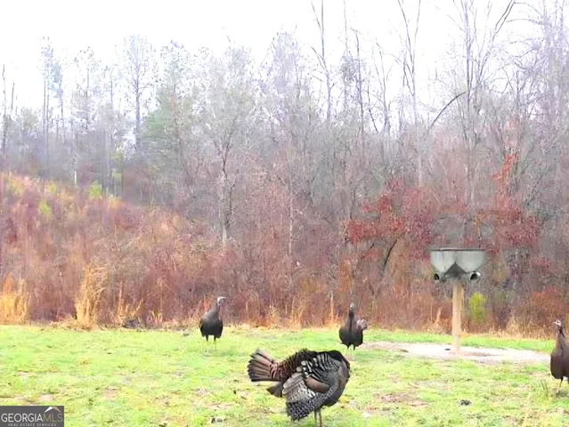a close view of sink