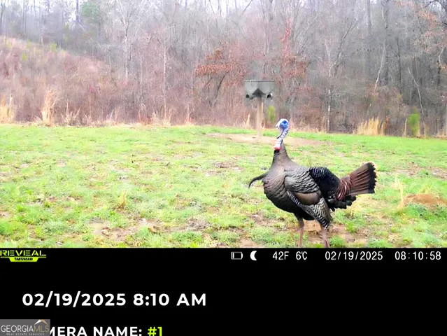 a picture of outdoor space