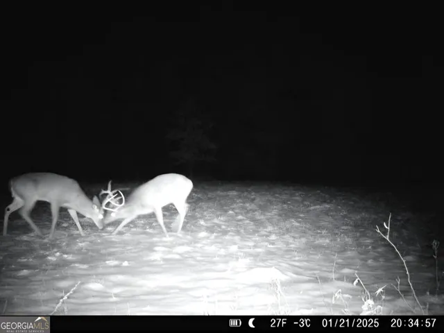 a view of water heater room