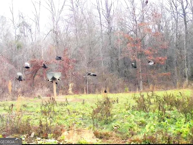 a close up of a door