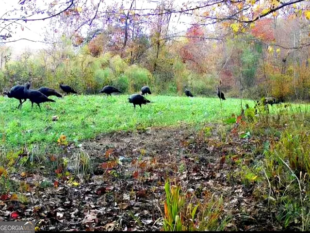 a view of a room with furniture