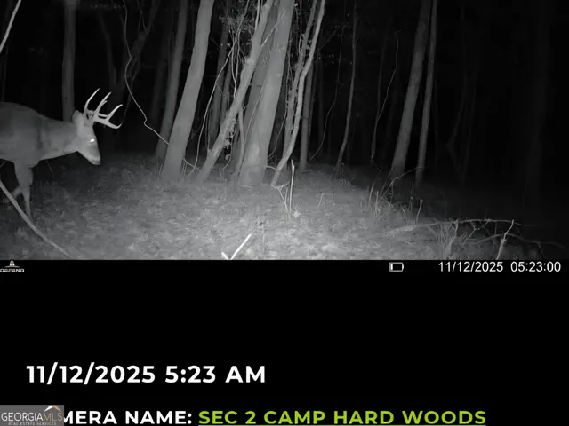 a close up of a plant in a kitchen
