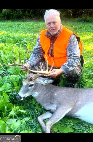 a view of a dry yard