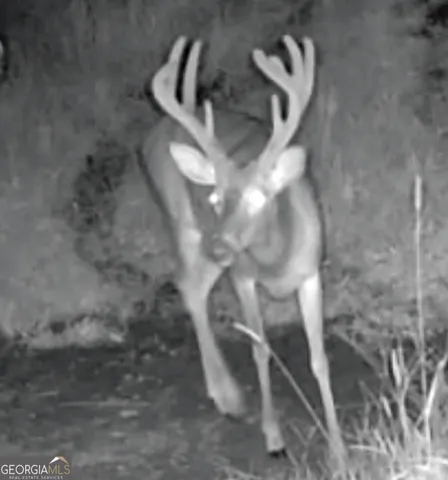 a close up of a sink