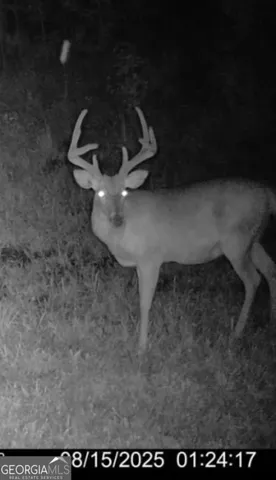 a aerial view of a house with a yard