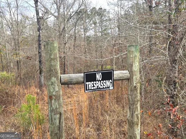 a view of a forest with a mountain