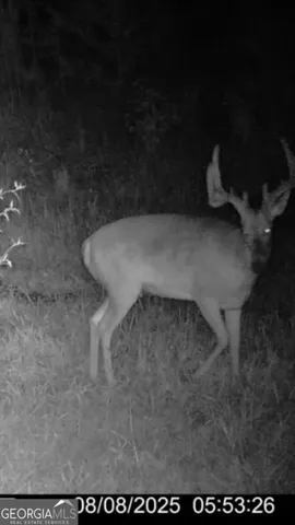 $260,000 | 240 80th Highway, Culloden, GA 31016