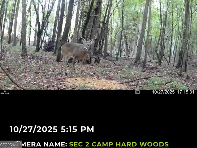 $260,000 | 240 80th Highway, Culloden, GA 31016