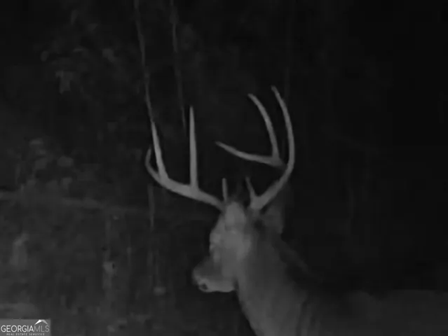 $260,000 | 240 80th Highway, Culloden, GA 31016