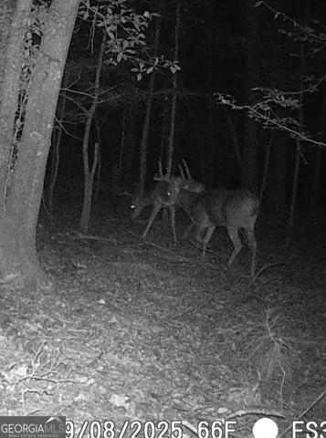 $260,000 | 240 80th Highway, Culloden, GA 31016