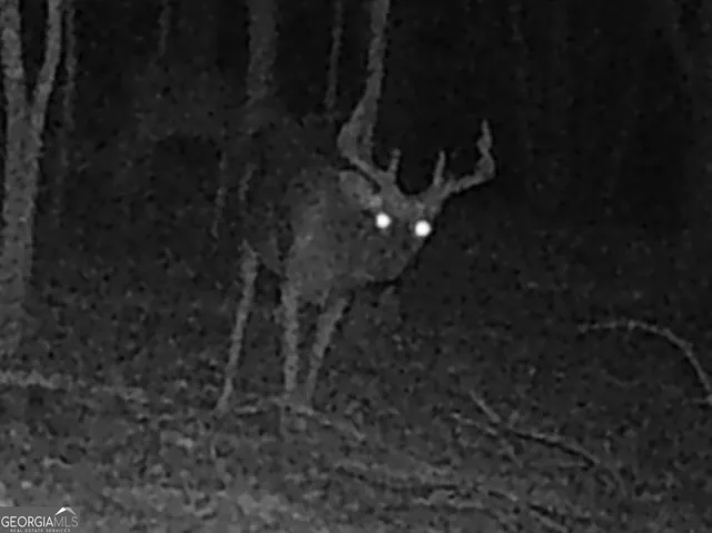 $260,000 | 240 80th Highway, Culloden, GA 31016