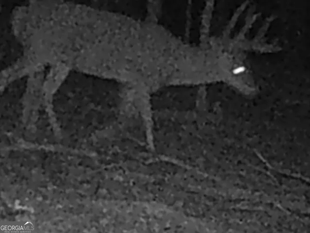 $260,000 | 240 80th Highway, Culloden, GA 31016