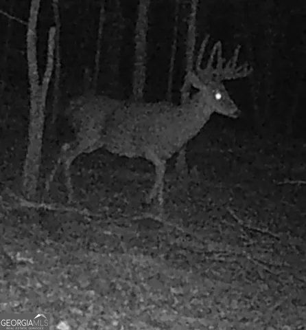 $260,000 | 240 80th Highway, Culloden, GA 31016