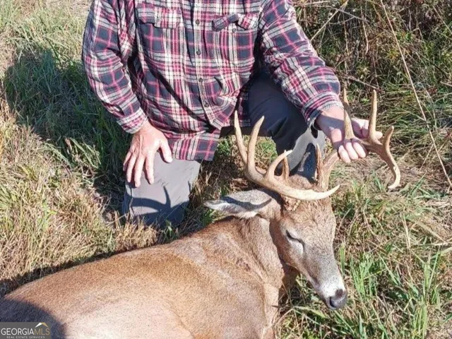 $260,000 | 240 80th Highway, Culloden, GA 31016