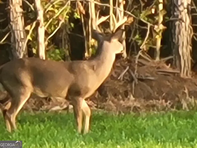 $260,000 | 240 80th Highway, Culloden, GA 31016