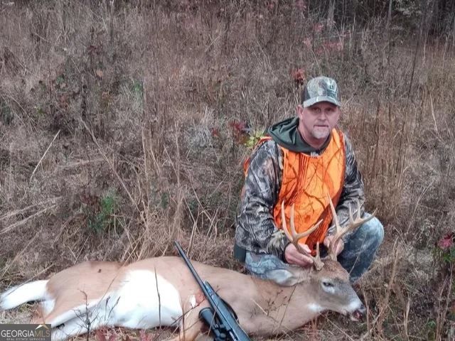 $260,000 | 240 80th Highway, Culloden, GA 31016