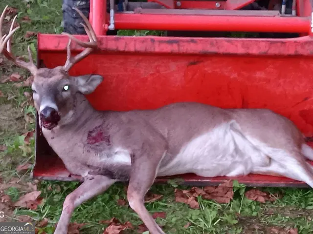 $260,000 | 240 80th Highway, Culloden, GA 31016