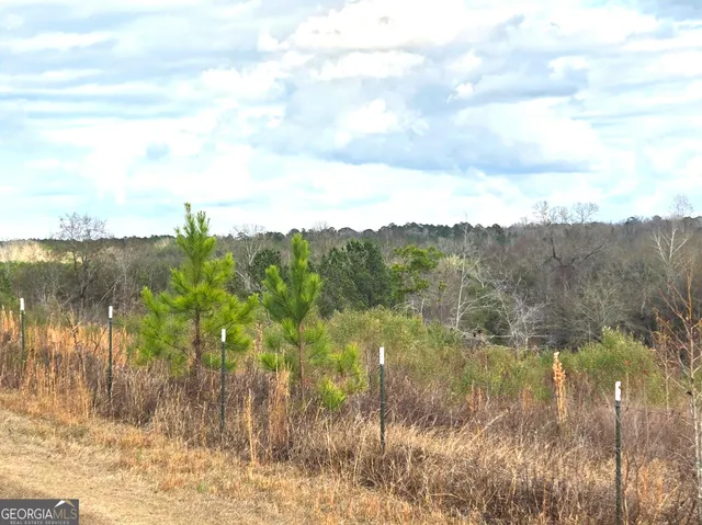 an outdoor view of a house with backyard