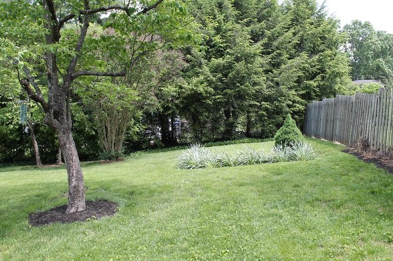 1133 Overland Road Southwest Roanoke, VA 24015 - Photo 34 of 38 Backyard