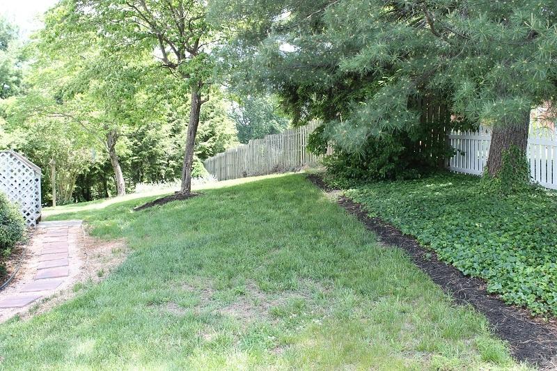1133 Overland Road Southwest Roanoke, VA 24015 - Photo 35 of 38 Backyard1