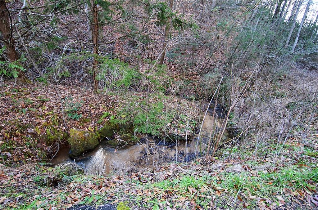955 Roby Conley Road Marion, NC 28752 - Photo 26 of 30 Gallery Image 26
