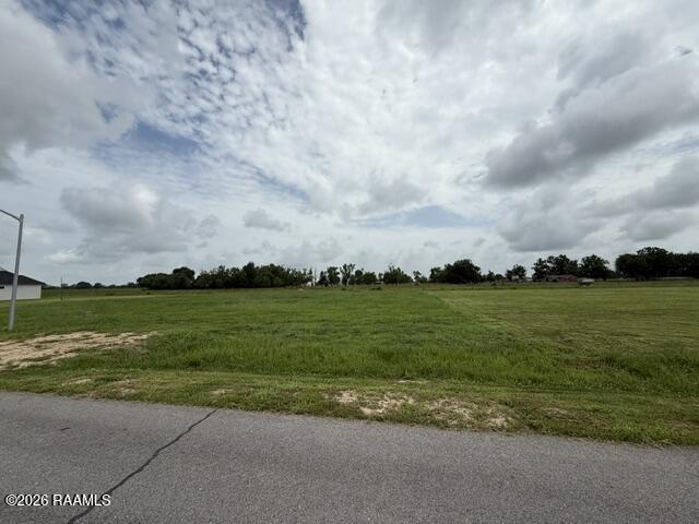 143 Chase Drive Scott, LA 70583 - Photo 2 of 4 IMG_3941