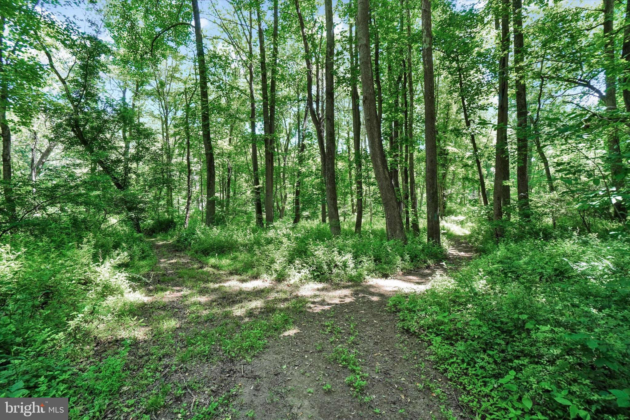 1912 Corbett Road Monkton, MD 21111 - Photo 22 of 46 And it's well groomed and wide enough for an ATV