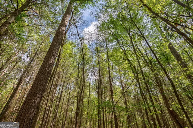 $92,000 | 1569 Skull Shoals Road, Washington, GA 30673