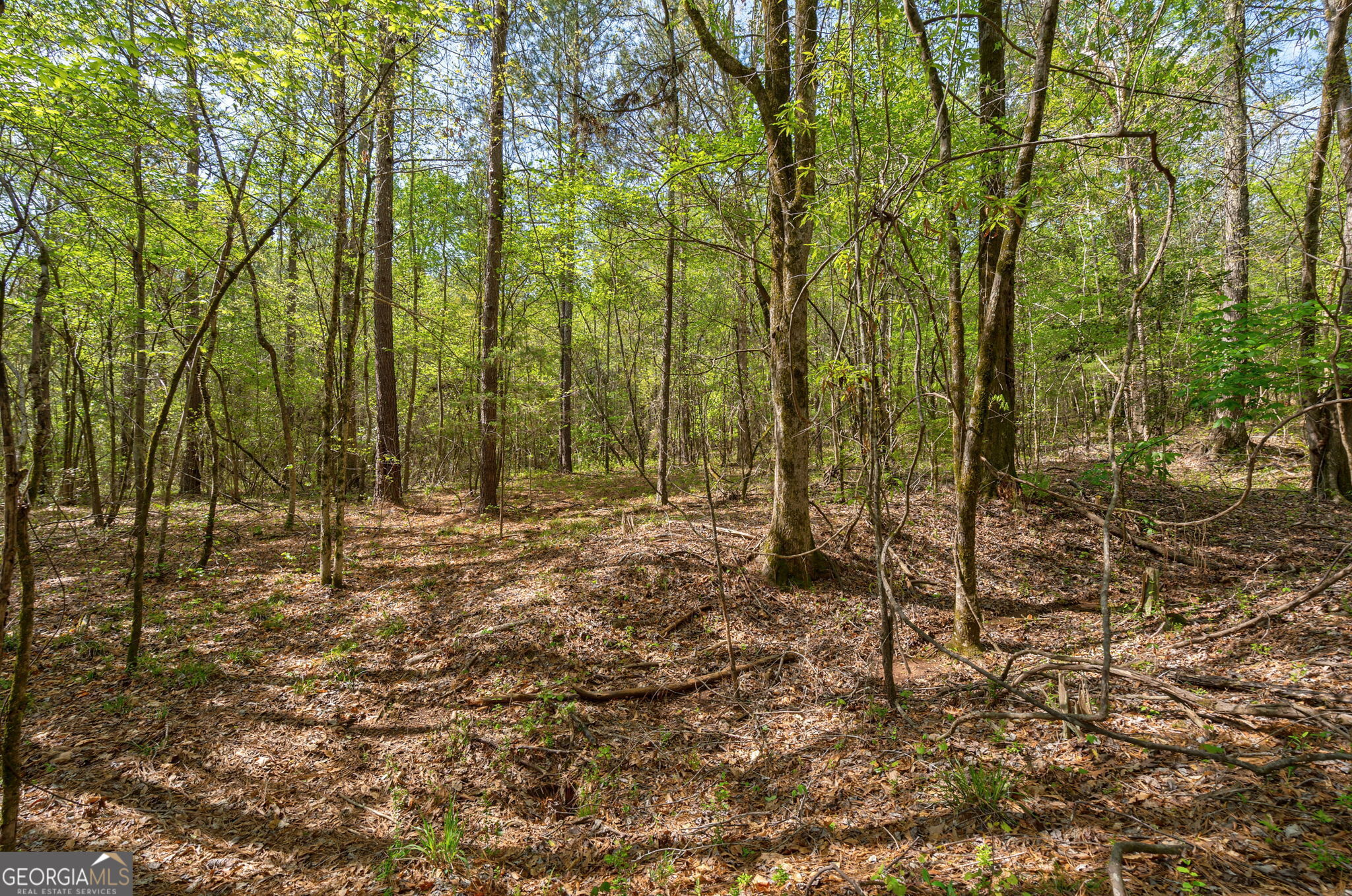 1569 Skull Shoals Road Washington, GA 30673 - Photo 12 of 19