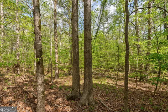 $92,000 | 1569 Skull Shoals Road, Washington, GA 30673